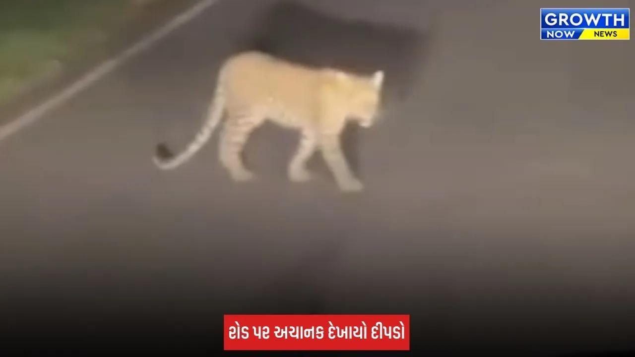 Video Viral: દેવગઢ બારીઆના ચેનપુર રોડ પર રાત્રીના સમયે દીપડાની લટાર
