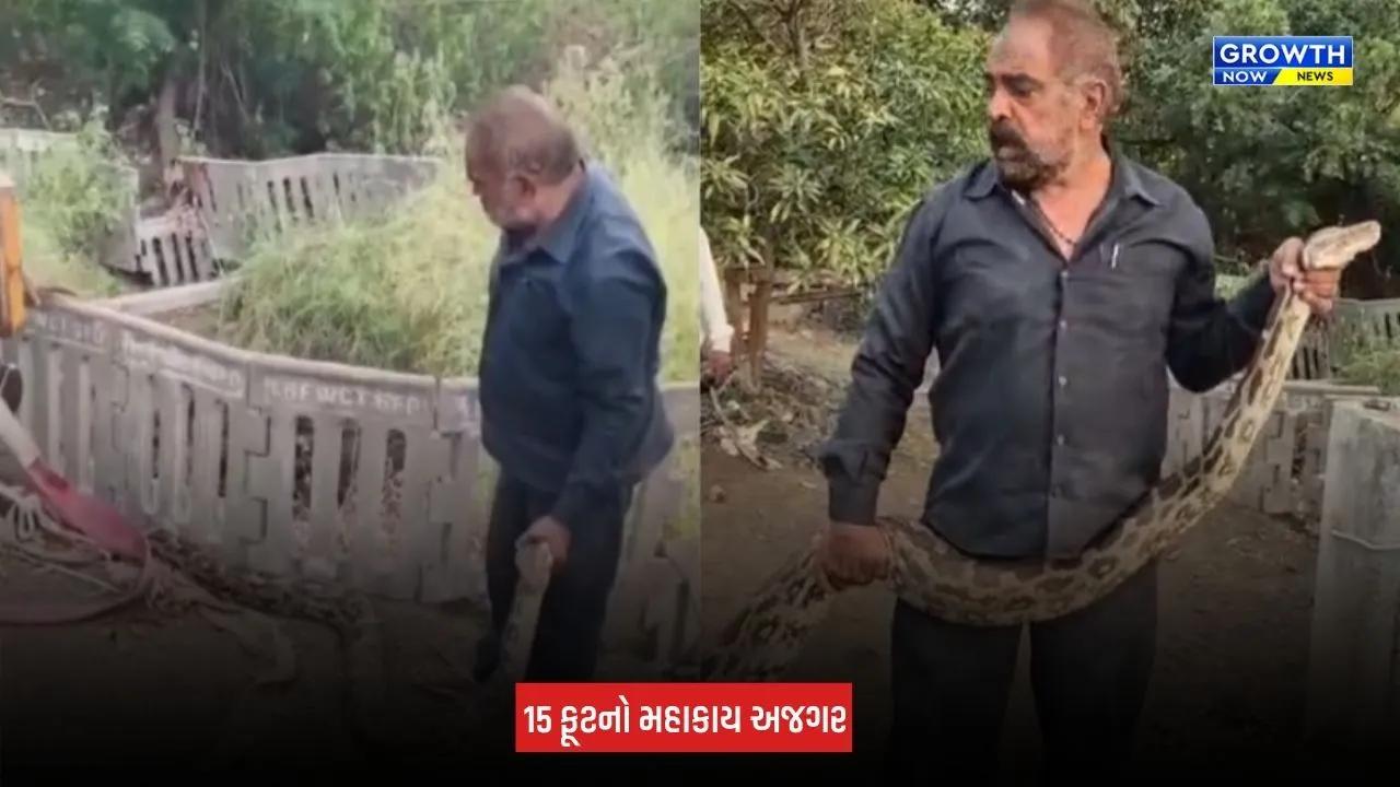 Amreli: ધારીના ગીગાસણ ગામે કૂવામાં ખાબક્યો 15 ફૂટનો મહાકાય અજગર, 2 કલાકના રેસ્ક્યૂ બાદ સુરક્ષિત મુક્ત કરાયો
