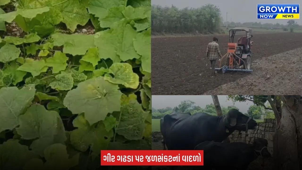 Gir Somnath : મછુંન્દ્રી ડેમમાં માત્ર 48% પાણી, વરસાદ ખેંચાતા ખેડૂતોની ચિંતા વધી