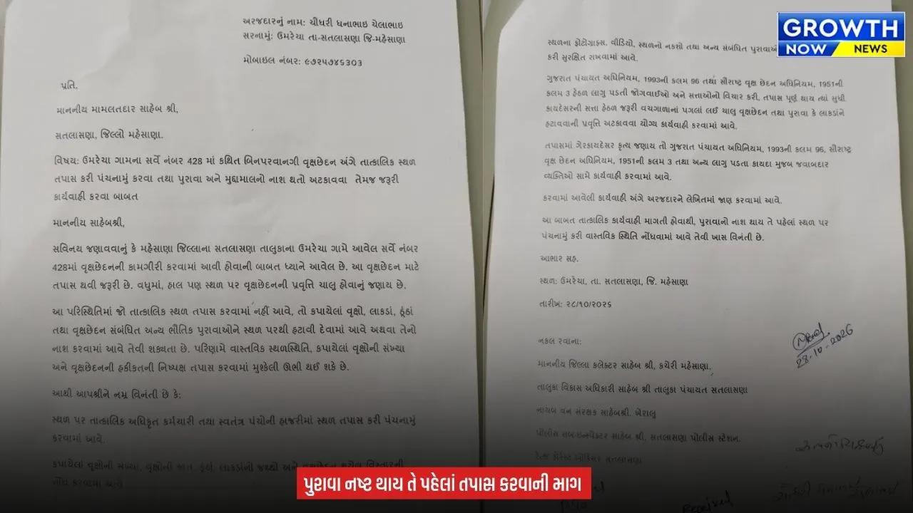 Mehsana Alleged Illegal Tree : મહેસાણાના ઉમરેચા ગામે કથિત ગેરકાયદે વૃક્ષછેદનથી ખળભળાટ, વનવિભાગ અને વહીવટી તંત્રને સ્થાનિકોએ કરી લેખિત ફરિયાદ