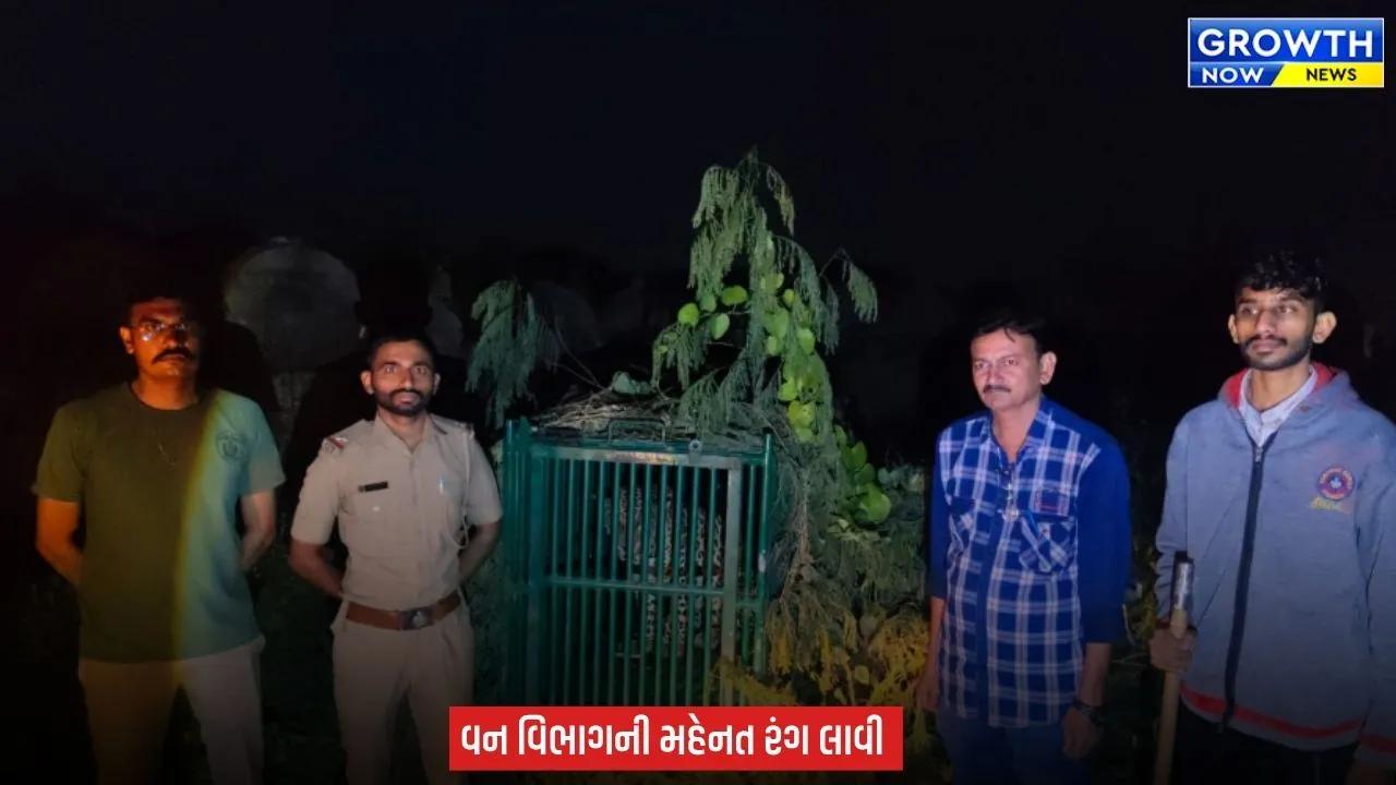 Junagadh નો ઉપરકોટ કિલ્લો 4 દિવસ બાદ ફરી પ્રવાસીઓ માટે ખુલ્લો મૂકાયો, દીપડો પાંજરે પૂરાતા વન વિભાગે લીધો રાહતનો શ્વાસ