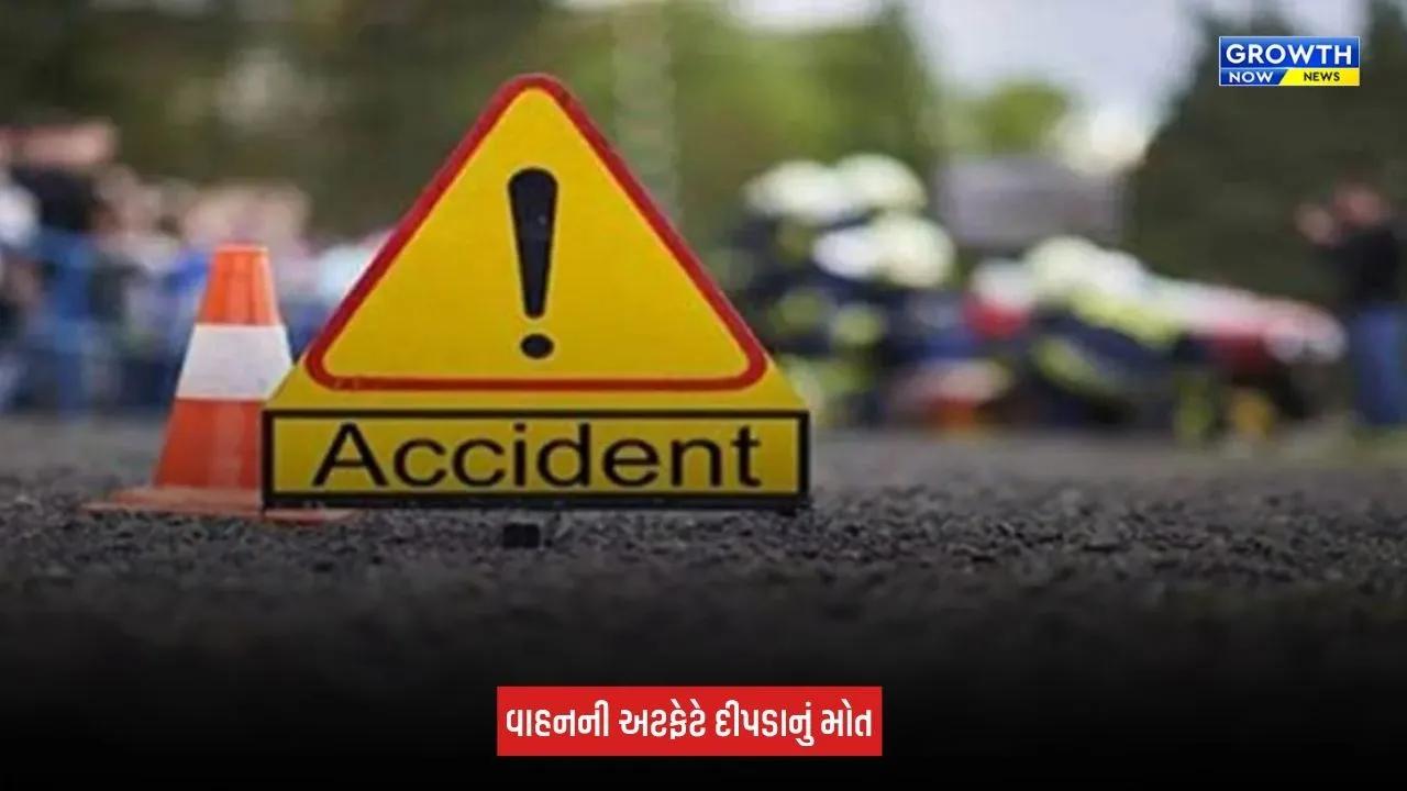 Leopard Death: ભરૂચ-વડોદરા નેશનલ હાઈવે પર કંડારી નજીક અજાણ્યા વાહનની અડફેટે દીપડાનું મોત