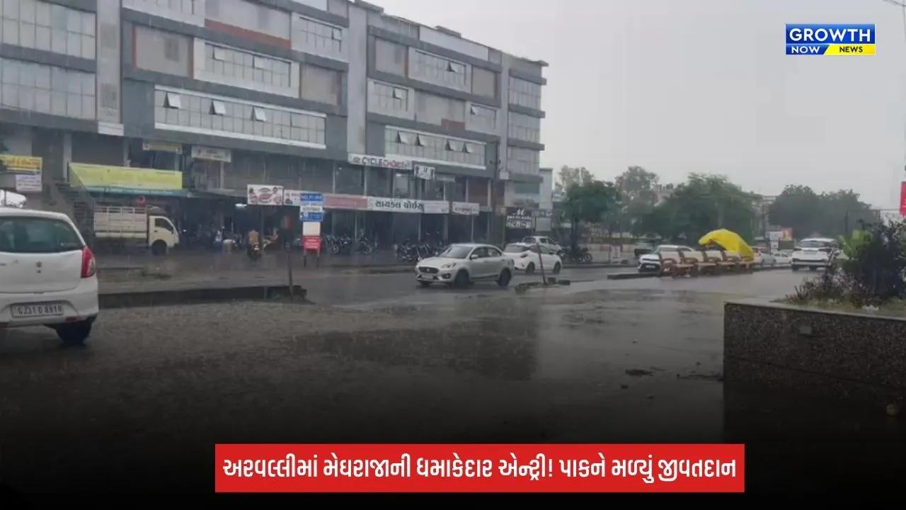 Aravalliમાં મેઘરાજાની ધમાકેદાર એન્ટ્રી! મોડાસા-માલપુર-મેઘરજમાં વરસાદ, સુકાતા પાકોને મળ્યું જીવતદાન