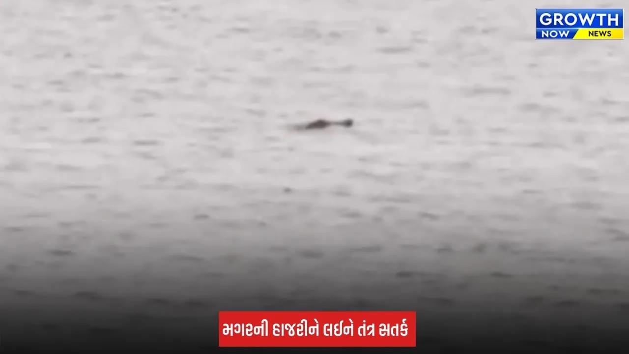 Surat: તાપી નદીમાં મગર દેખાતા તંત્ર એલર્ટ, કોઝવે નજીક વન વિભાગે રેસ્ક્યુ ટીમ તૈનાત કરી