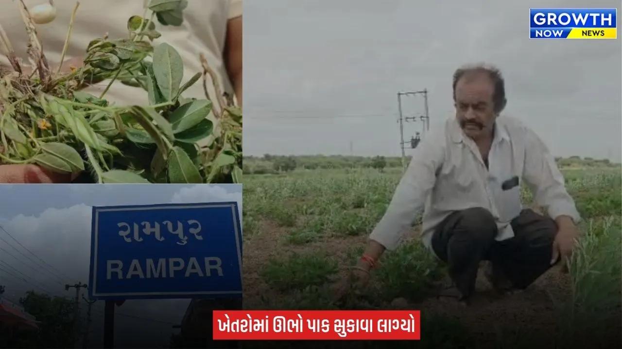 Amreli : વાવણી બાદ વરસાદ ગાયબ, ધારીના ખેડૂતોની મહેનત પર પાણી ફરી વળ્યું