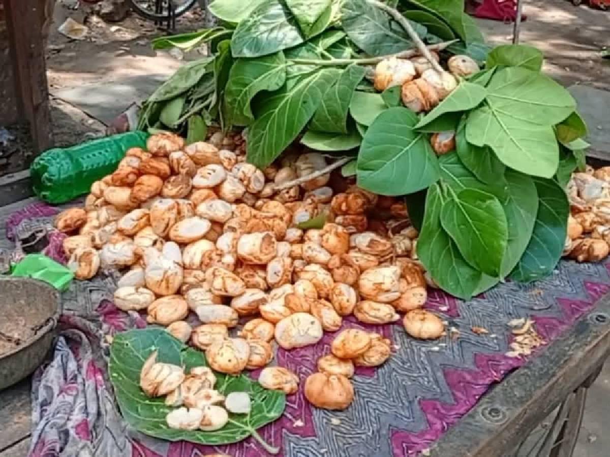 અંગ દઝાડતી ગરમીમાં આ ફળ છે અમૃત જેવું, પેટમાં ઠંડકની સાથે કરે છે આટલા ફાયદા