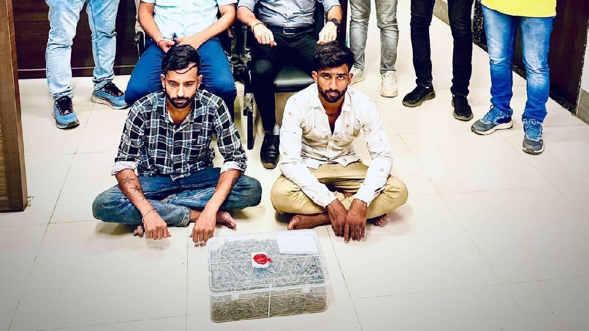 રાજકોટ SOGની મોટી કાર્યવાહી, લાખોના ગાંજા સાથે 2 આરોપીની અટકાયત