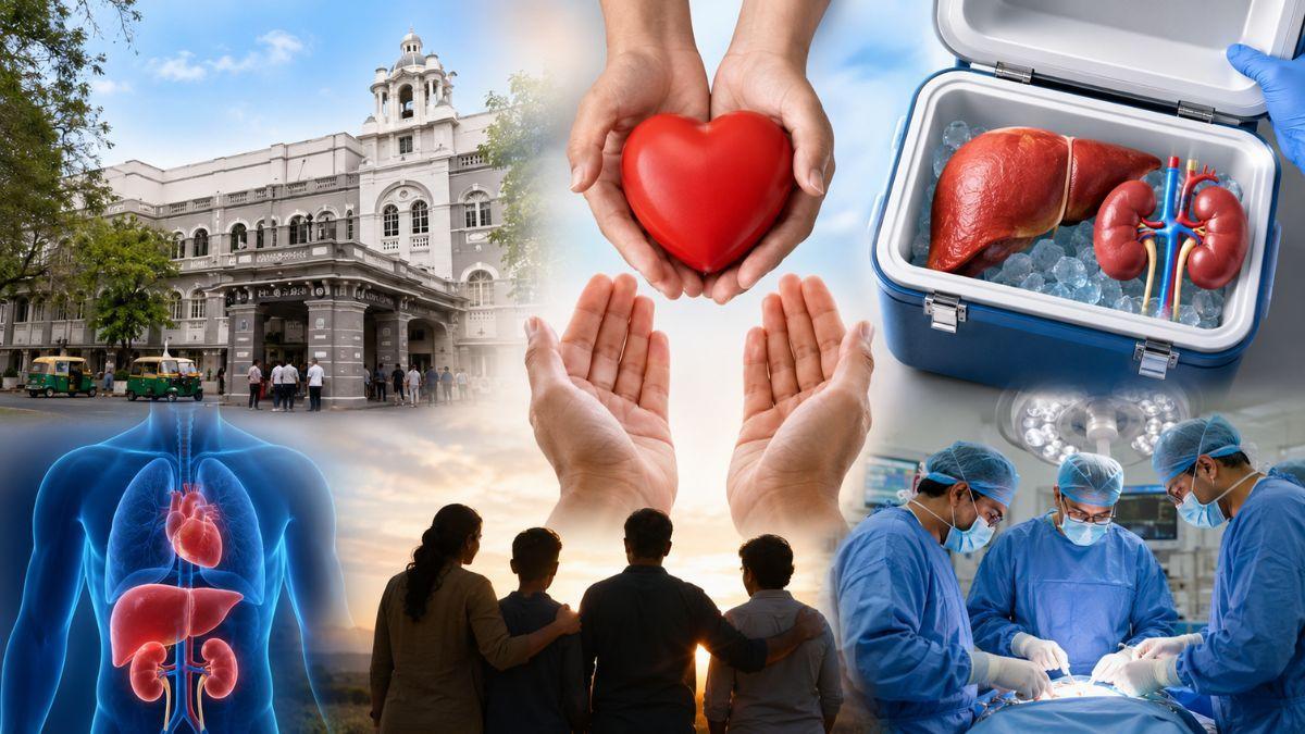 29 વર્ષીય બ્રેઇનડેડ યુવકના પરિવારનો અંગદાનનો નિર્ણય, ત્રણ દર્દીઓને મળશે નવજીવન