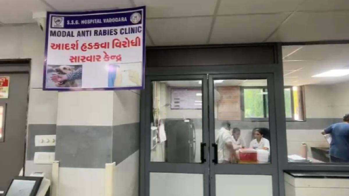 વડોદરામાં બિલાડી કરડવાના કેસોમાં વધારો, દર મહિને 1 હજારથી વધુ દર્દીઓ સારવાર માટે પહોંચે છે
