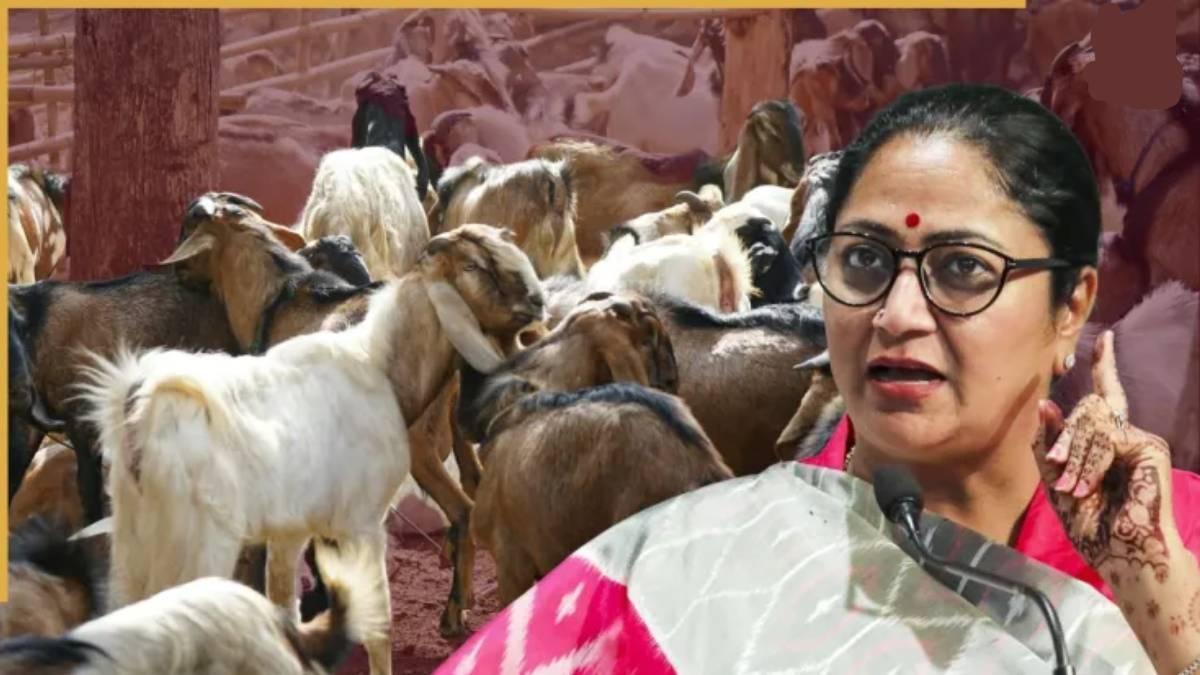 બકરી ઇદ પર દિલ્હી સરકારની કડક ગાઇડલાઇન: રસ્તા અને જાહેર સ્થળો પર કુરબાની આપવા પર પ્રતિબંધ