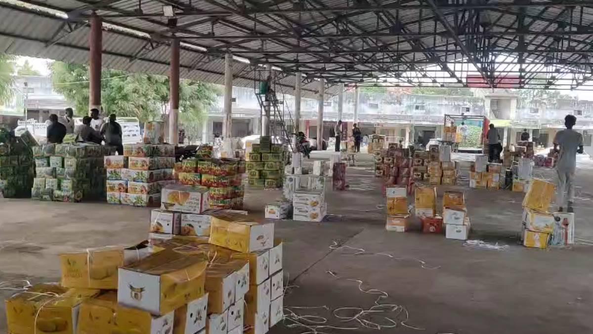 તાલાલામાં કેસર કેરીનો સુવર્ણ યુગ: 55 દિવસમાં 9.12 લાખ બોક્સનું વેચાણ, ખેડૂતોને ₹200 કરોડથી વધુની કમાણી