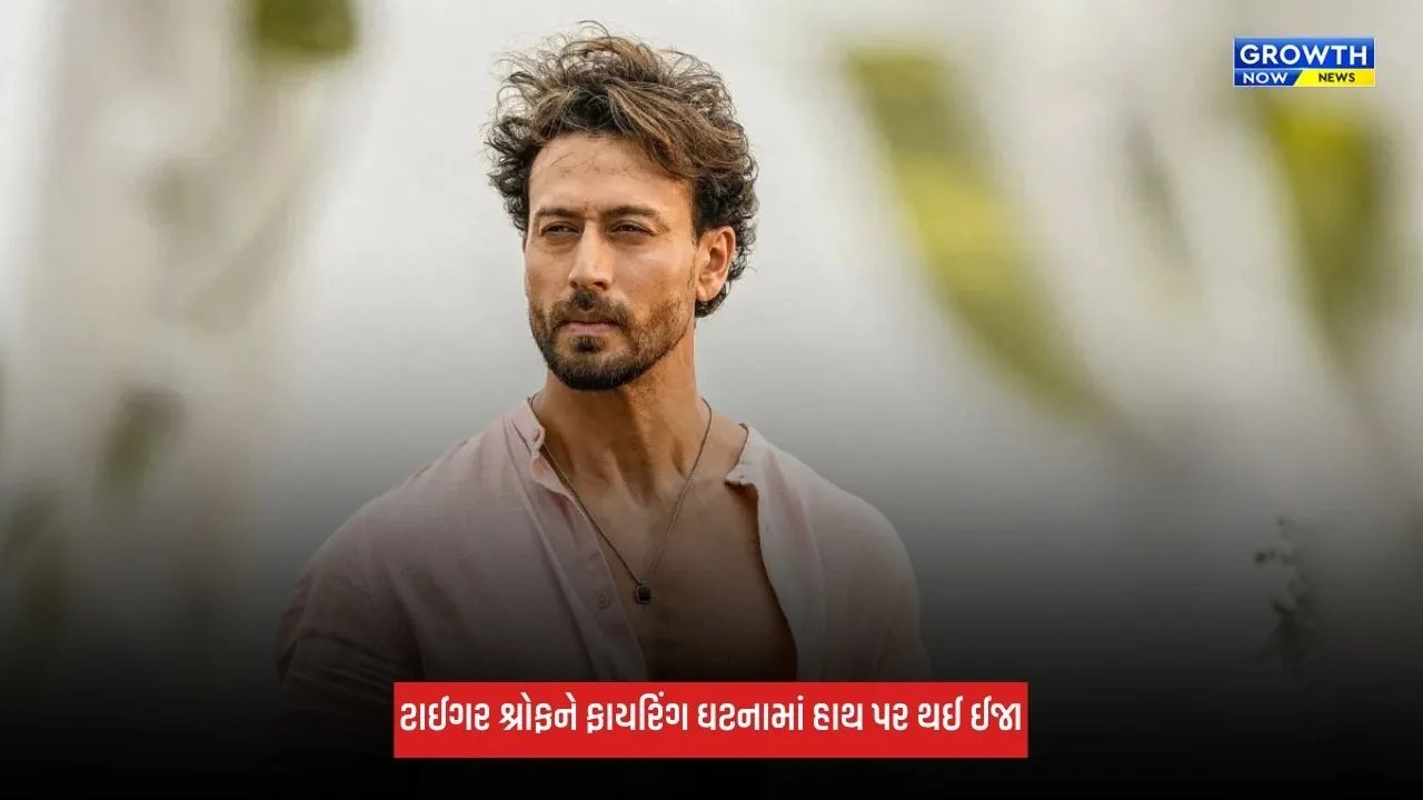 Tiger Shroffના હાથ પર ઈજાના નિશાન જોઈ ચિંતામાં ફેન્સ, માતા આયેશા શ્રોફે શેર કર્યો વીડિયો