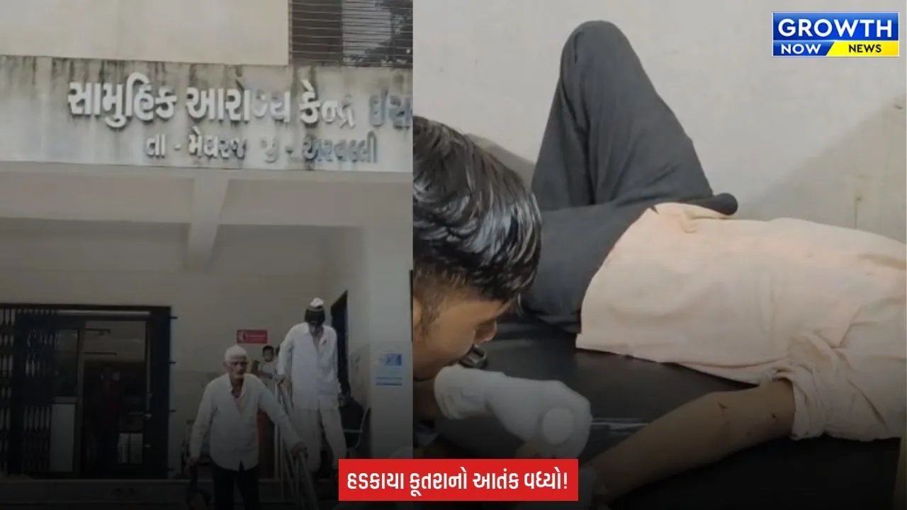 Arvalli ના મેઘરજમાં હડકાયા કૂતરાનો કહેર યથાવત, છેલ્લા બે દિવસમાં 18 લોકોને બચકાં ભર્યા