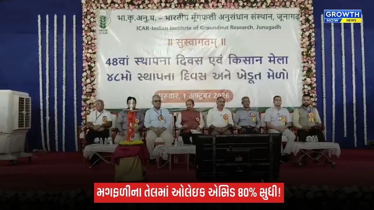 Junagadhના વૈજ્ઞાનિકોની મોટી સફળતા: મગફળીની નવી જાતો ‘ગિરનાર-4’ અને ‘ગિરનાર-5’ તૈયાર