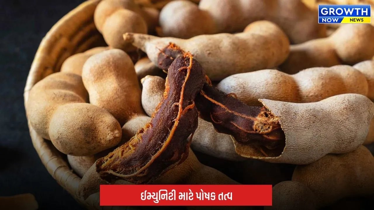 Health Tips: સ્વાદ જ નહીં, સ્વાસ્થ્યનો ખજાનો પણ છે આમલી! પાચનથી ઈમ્યુનિટી સુધી જાણો તેના ફાયદા