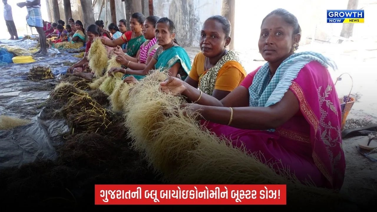 Porbandarના મોચામાં ₹100 કરોડનો મરિન બાયોટેકનોલોજી કોરિડોર બનશે, 30 એકરમાં રિસર્ચ હબ વિકસાવાશે