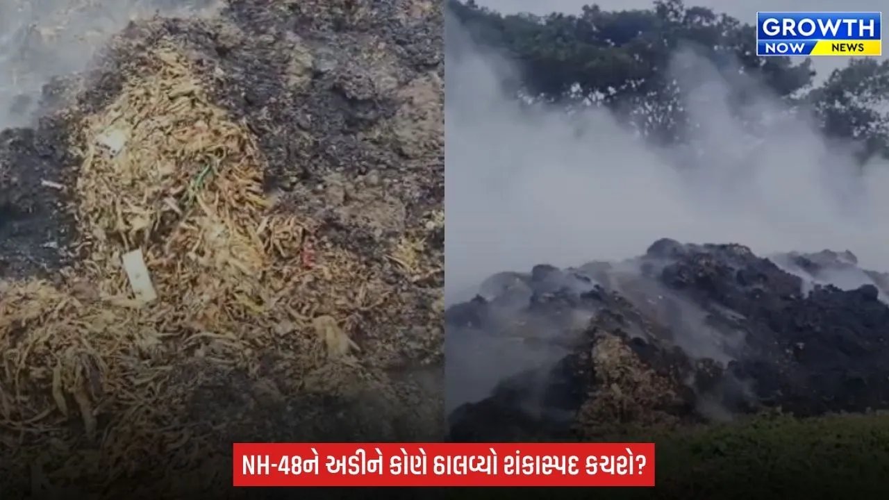 Bharuch ના નબીપુર પાસે શંકાસ્પદ કચરામાં ભીષણ આગ, હાઈવે પર ધુમાડો ફરી વળતા વાહનચાલકો પરેશાન