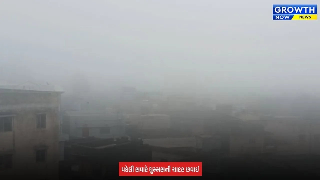 Rajkot Foggy Atmoshphere : ઉપલેટા-ધોરાજીમાં ગાઢ ધુમ્મસ અને ઝાકળ, કપાસના પાકને લઈને ખેડૂતોમાં ચિંતા