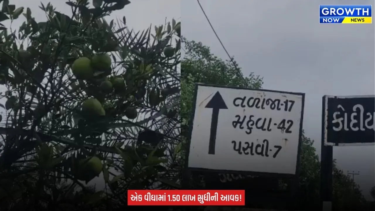 Agriculture News : ઓછો ખર્ચ, ઓછી માવજત અને લાખોની આવક! મોસંબીની ખેતી બની ખેડૂતોની પહેલી પસંદ