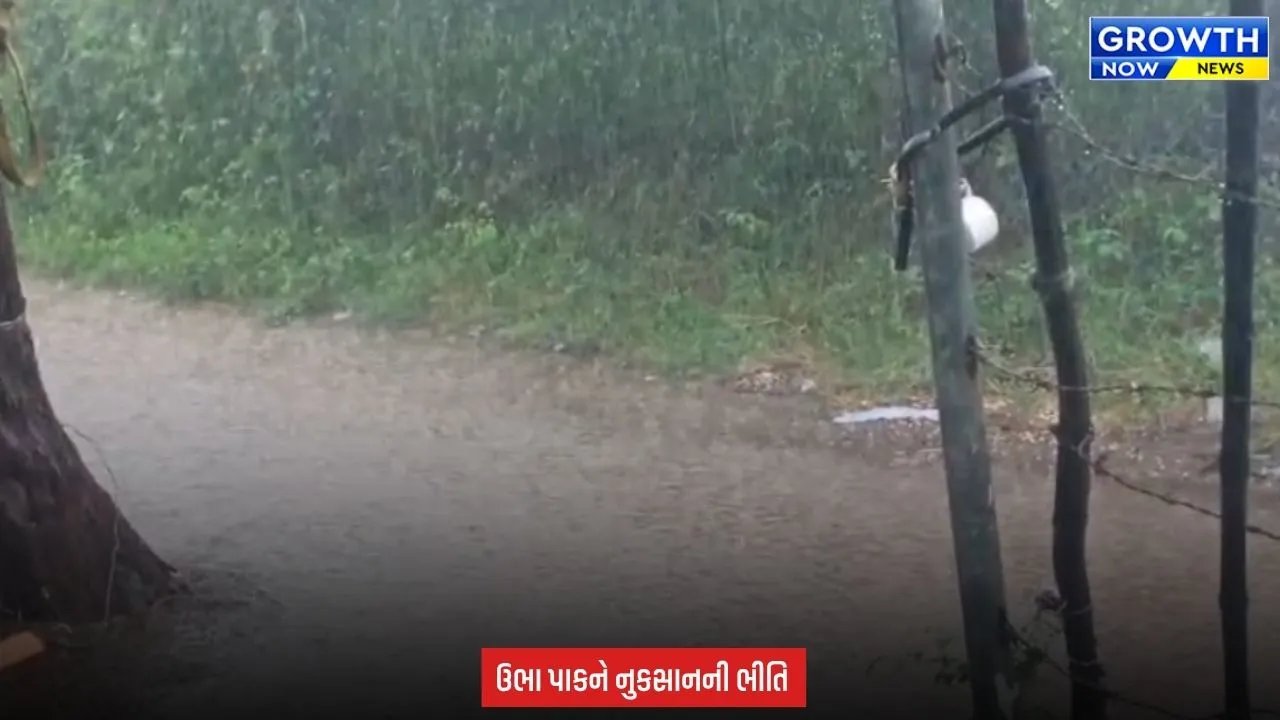 Bhavnagar માં મેઘરાજાની ધમાકેદાર એન્ટ્રી, ગ્રામ્ય વિસ્તારોમાં ધોધમાર વરસાદનું આગમન