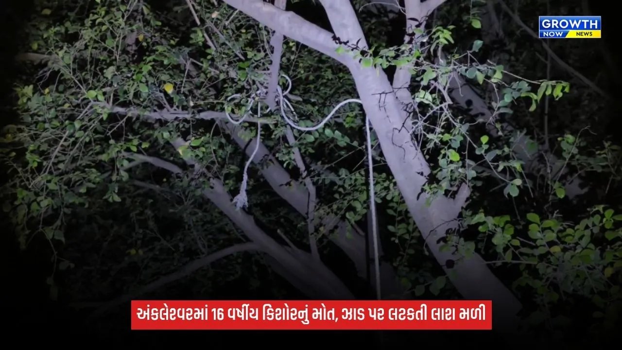 Ankleshwarમાં 16 વર્ષીય કિશોરનું શંકાસ્પદ સંજોગોમાં મોત, હસ્તી તળાવ પાસે ઝાડ પર લટકતી લાશ મળી