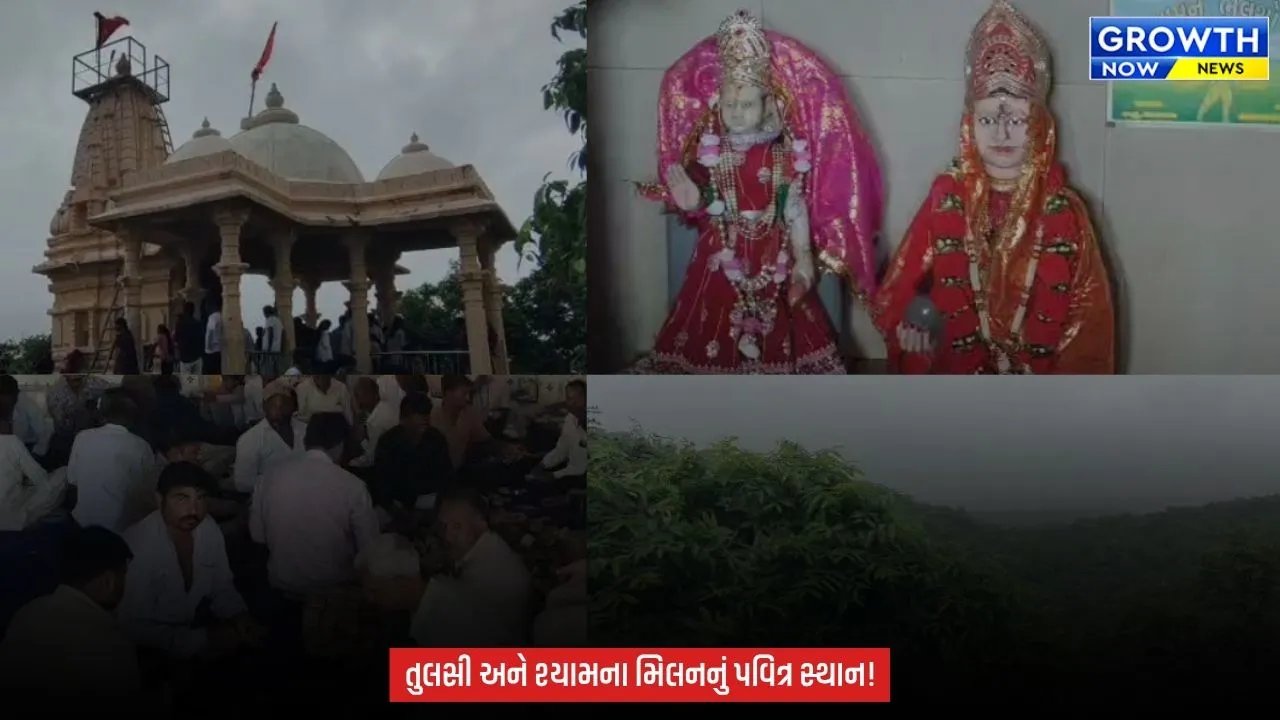 Junagadh : ગીરના જંગલમાં 3000 વર્ષ જૂનું રહસ્ય! જાણો તુલસીશ્યામની પૌરાણિક કહાની