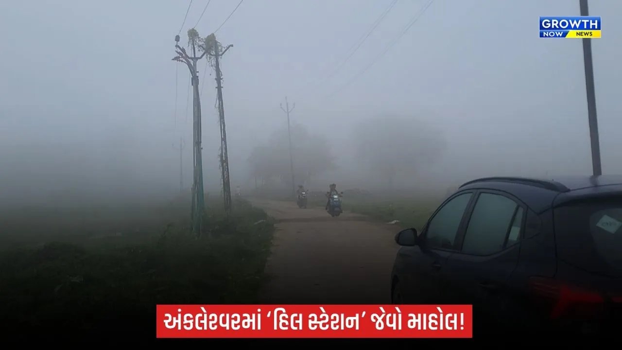 Ankleshwarમાં ‘હિલ સ્ટેશન’ જેવો માહોલઃ ગાઢ ધુમ્મસથી છવાયું શહેર, 10થી 15 ફૂટ જ વિઝિબિલિટી
