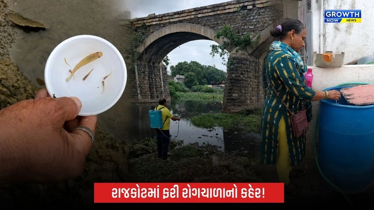 Rajkot Disease Outbreak: રાજકોટમાં ફરી રોગચાળાનો વધતો કહેર, શરદી-ઉધરસ અને તાવના કેસોમાં ઉછાળો