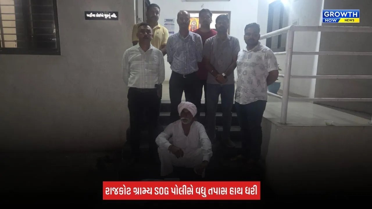 Rajkot News: જસદણના કરમાળકોટડા ગામે કપાસના ખેતરમાંથી ગાંજાના 3 છોડ ઝડપાયા, રૂપિયા 5.24 લાખનો મુદ્દામાલ જપ્ત