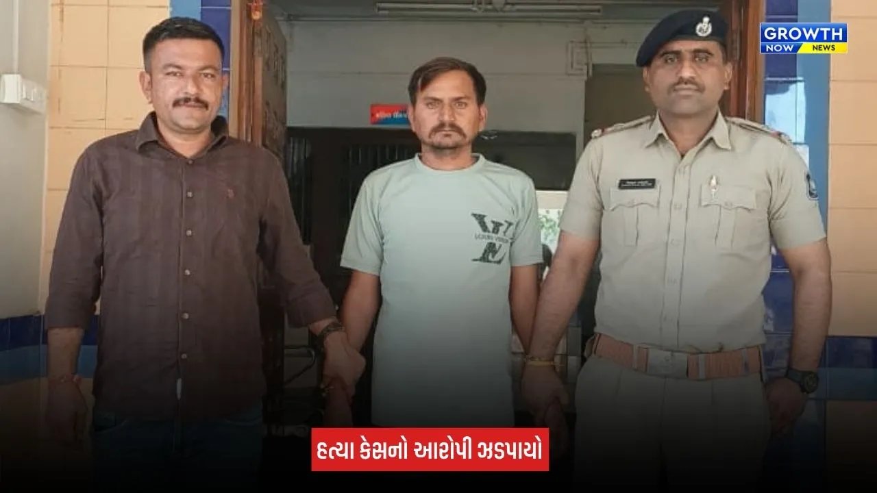 Mehsana News: વિસતપુરામાં અદાવતમાં યુવકની હત્યા, 24 કલાકમાં આરોપી ઝડપાયો
