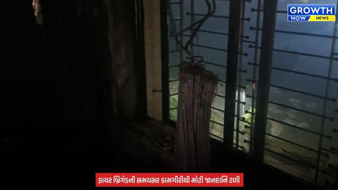 Surat News : ન્યૂ સિટી લાઈટ વિસ્તારમાં 10માં માળે ભીષણ આગ લાગતા આખો ફ્લેટ બળીને ખાખ, ફાયર વિભાગે આગને લીધી કાબુમાં