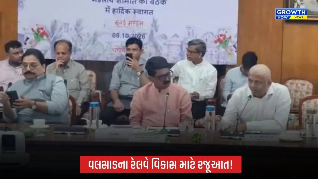 Valsadના રેલવે પ્રશ્નો મુદ્દે સાંસદ ધવલ પટેલની રજૂઆત, નવી ટ્રેનો અને સ્ટોપેજની માંગ