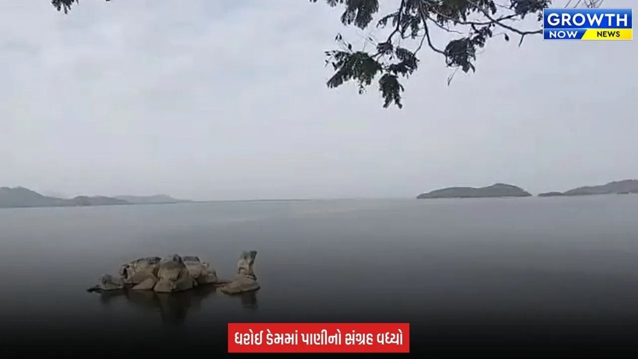 Mehsana : ધરોઈ ડેમની જળસપાટીમાં વધારો, 10 દિવસમાં 2%થી વધુ પાણી વધ્યું