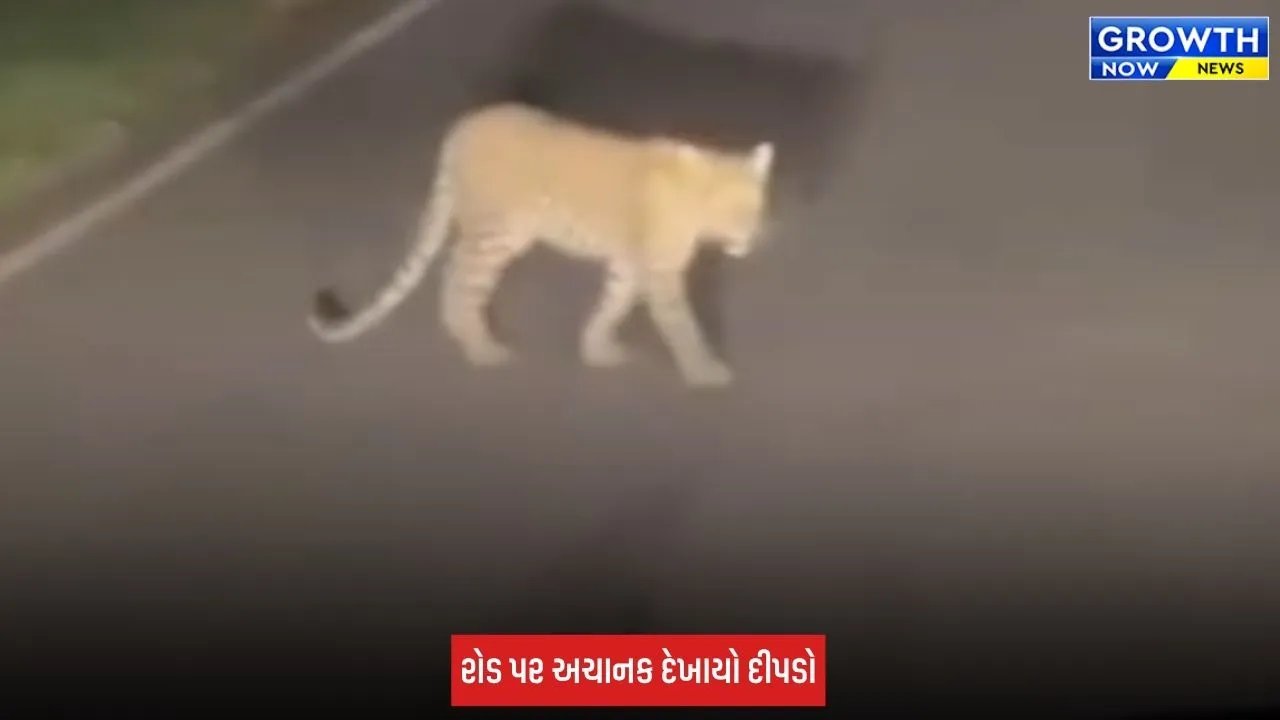 Video Viral: દેવગઢ બારીઆના ચેનપુર રોડ પર રાત્રીના સમયે દીપડાની લટાર