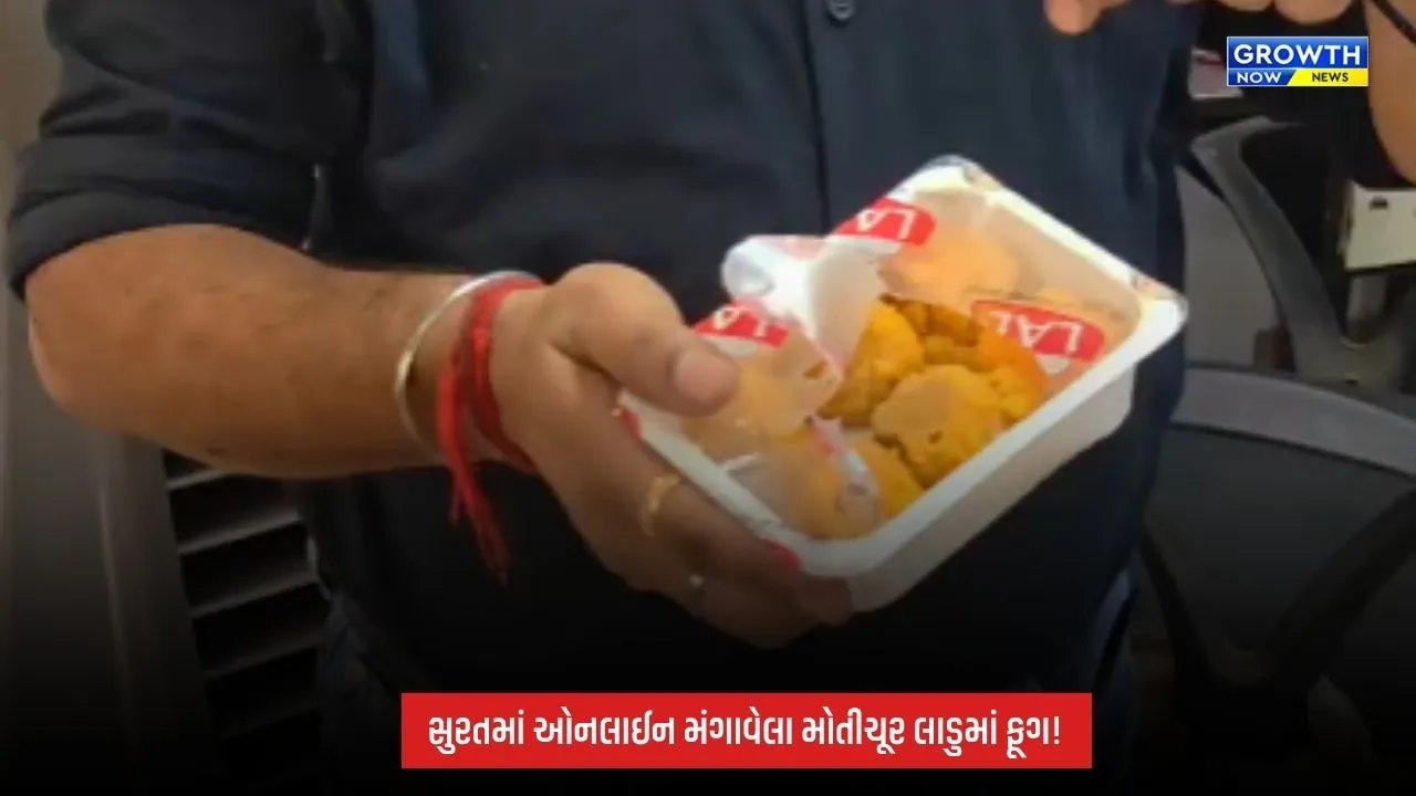 Suratમાં Blinkit પરથી મંગાવેલા મોતીચૂરના લાડુ ફૂગવાળા મળ્યાનો આક્ષેપ! પેકેટ ખોલતા જ દુર્ગંધ આવતા ગ્રાહક ચોંક્યો
