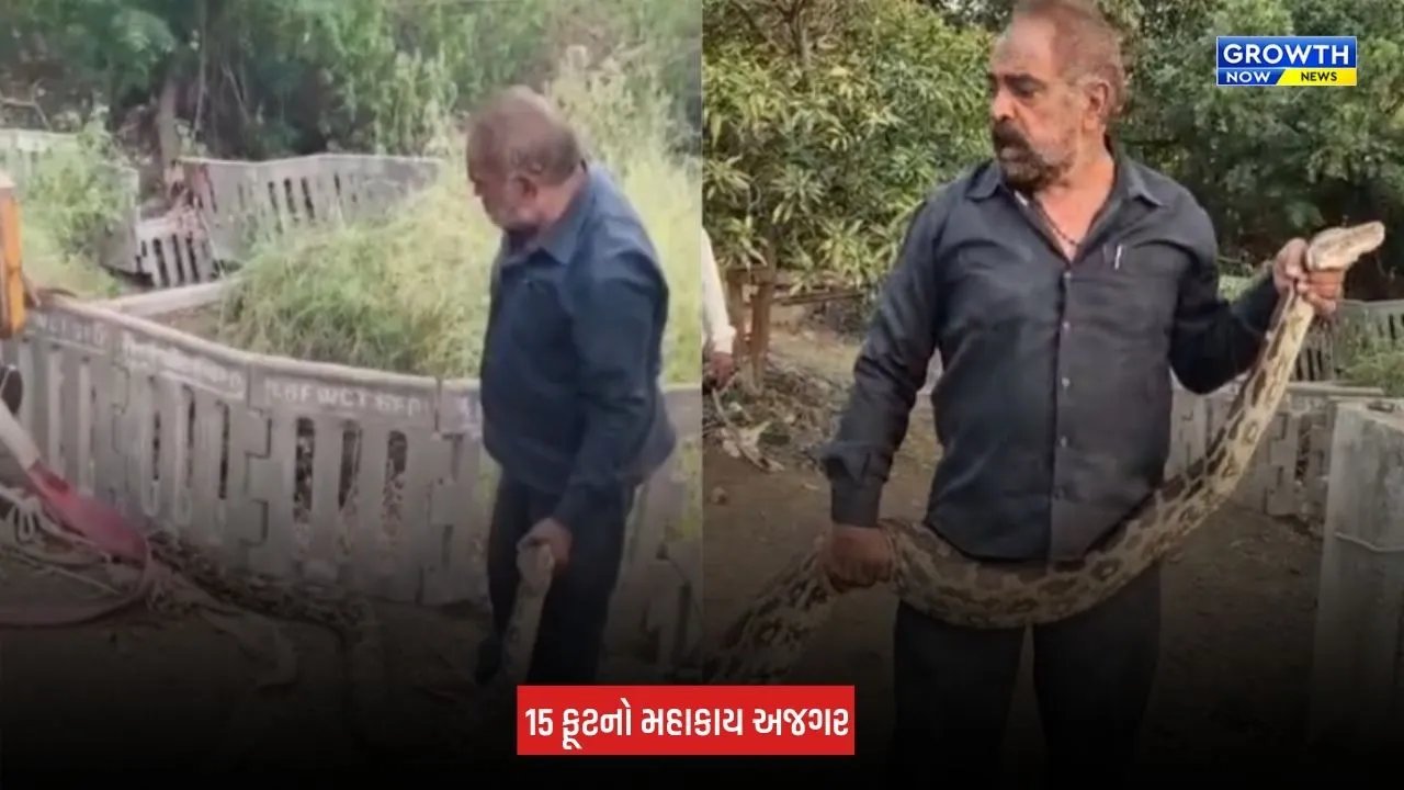 Amreli: ધારીના ગીગાસણ ગામે કૂવામાં ખાબક્યો 15 ફૂટનો મહાકાય અજગર, 2 કલાકના રેસ્ક્યૂ બાદ સુરક્ષિત મુક્ત કરાયો