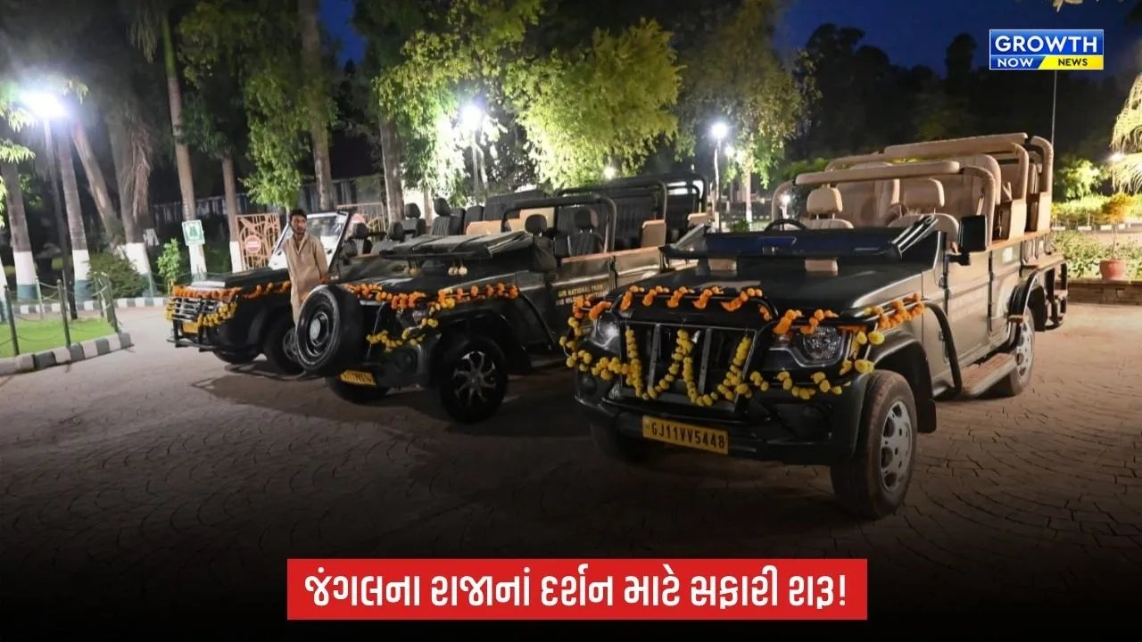 Junagadh News: સાસણગીર પ્રવાસીઓ માટે ખુલ્લું મુકાયું, સિંહદર્શન માટે પ્રવાસીઓમાં ભારે ઉત્સાહ