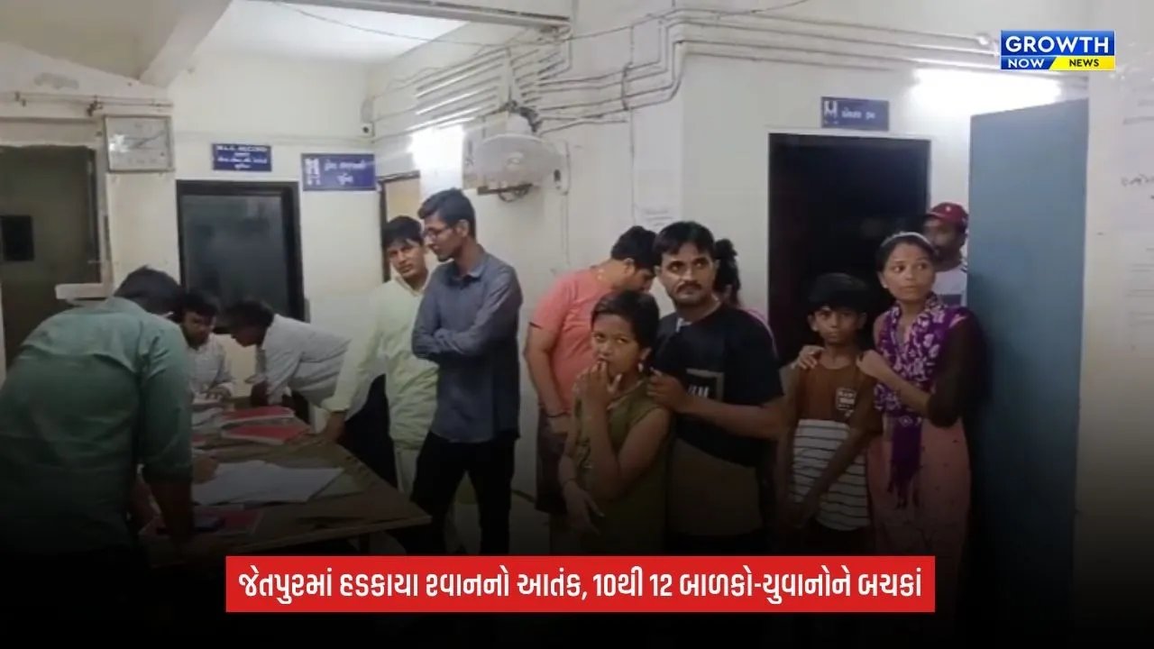 Jetpur Dog Attack: હડકાયા શ્વાનનો આતંક, 10થી 12 બાળકો-યુવાનોને બચકાં; અનેક વિસ્તારોમાં ફફડાટ