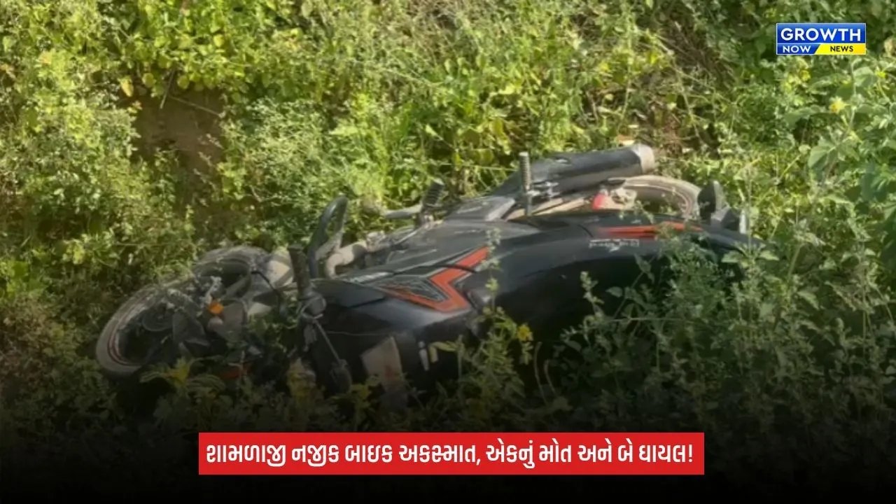 Aravalliના શામળાજી નજીક ગમખ્વાર અકસ્માત, બાઇક સ્લીપ થતાં એકનું મોત, બે ઘાયલ