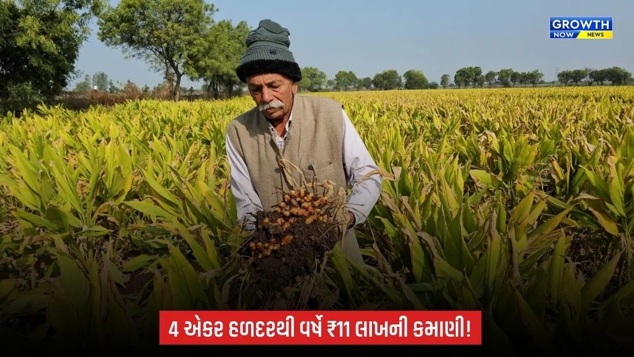 4 એકર હળદરથી વર્ષે ₹11 લાખની આવક! કાળુભાઈએ પ્રાકૃતિક ખેતી સાથે ખેત-પેદાશને બનાવી બ્રાન્ડ