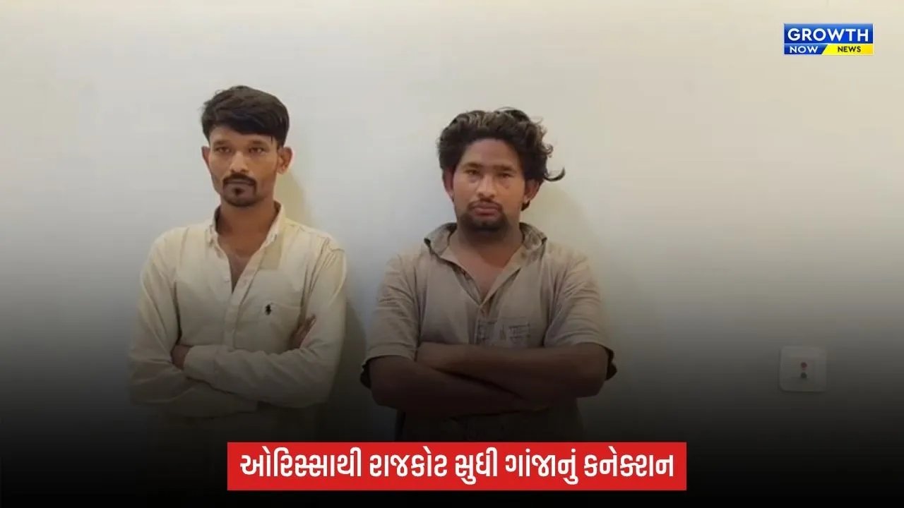 204 કિલો ગાંજા કેસમાં રાજકોટ ક્રાઈમ બ્રાન્ચની કાર્યવાહી, ઓરિસ્સાથી સપ્લાય કરનારા બે સગા ભાઈ ઝડપાયા