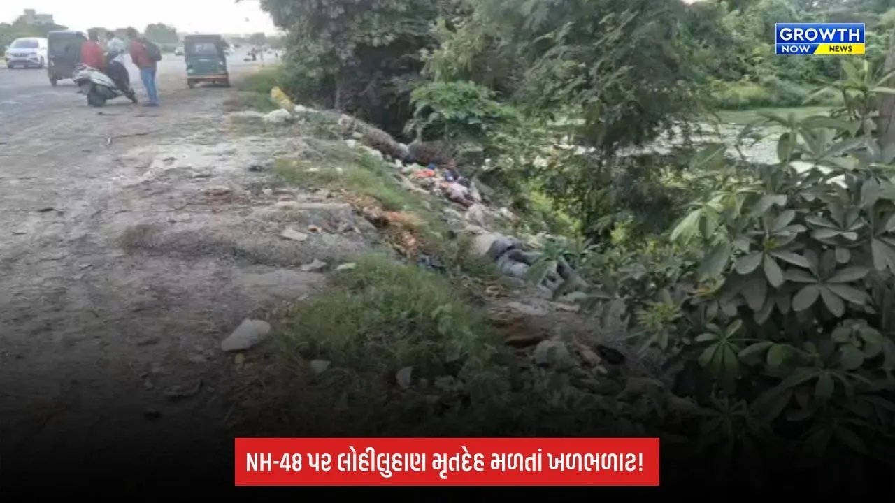 Vadodara: NH-48 પર જંબુવા બ્રિજ નજીક અજાણ્યા વ્યક્તિનો લોહીલુહાણ મૃતદેહ મળ્યો, ચકચાર