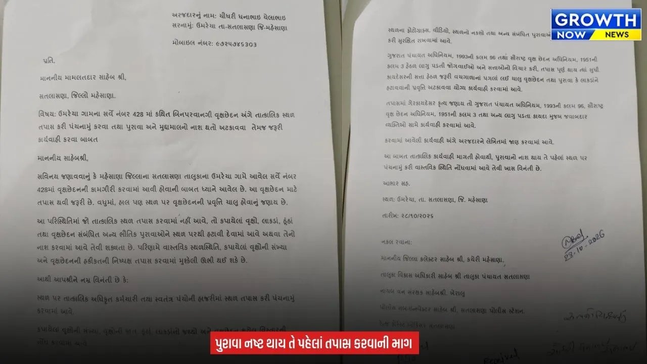 Mehsana Alleged Illegal Tree : મહેસાણાના ઉમરેચા ગામે કથિત ગેરકાયદે વૃક્ષછેદનથી ખળભળાટ, વનવિભાગ અને વહીવટી તંત્રને સ્થાનિકોએ કરી લેખિત ફરિયાદ