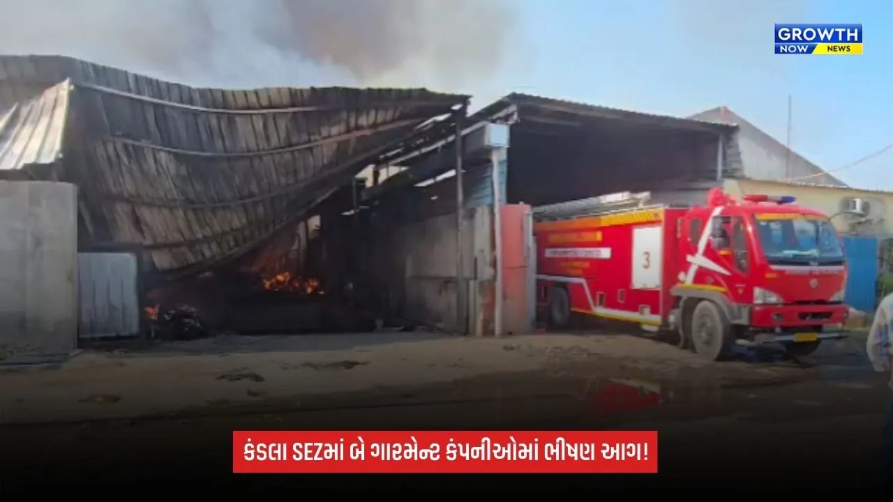 Kandla SEZમાં બે ગારમેન્ટ કંપનીઓમાં ભીષણ આગ, કરોડોનું નુકસાન થયાની આશંકા