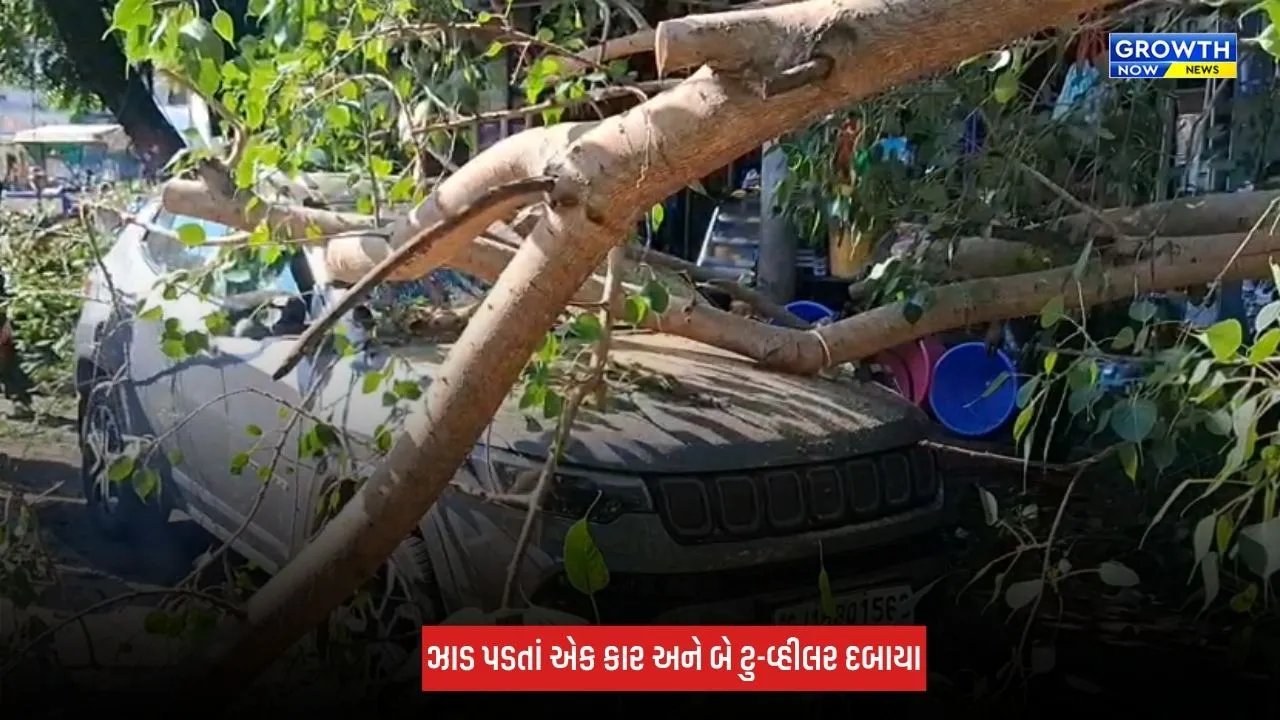 Ahmedabad : નવરંગપુરા વિસ્તારમાં ઝાડ ધરાશાયી, કાર સહિત ત્રણ વાહનો દબાયા