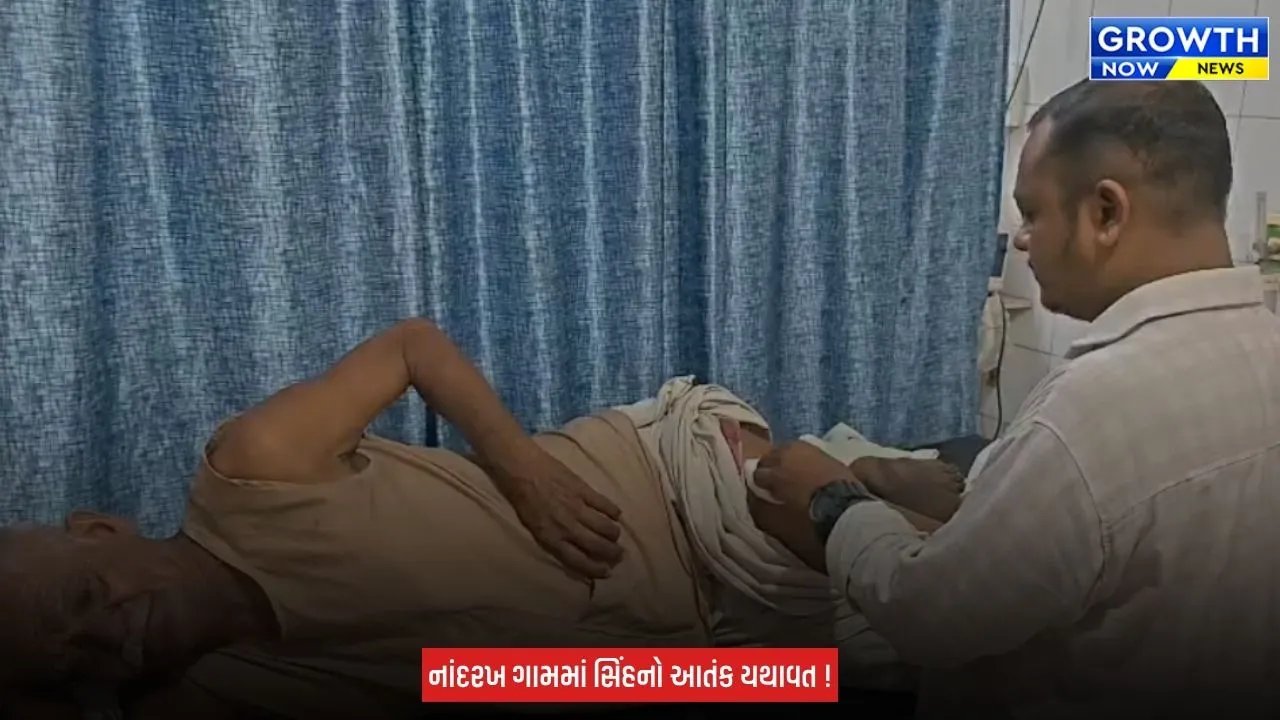Gir Somnath ના ઉનામાં ખેતરના મકાન બહાર સૂતા વૃદ્ધ પર સિંહ ત્રાટક્યો, ઈજાગ્રસ્તને સારવાર હેઠળ હોસ્પિટલ ખસેડાયા