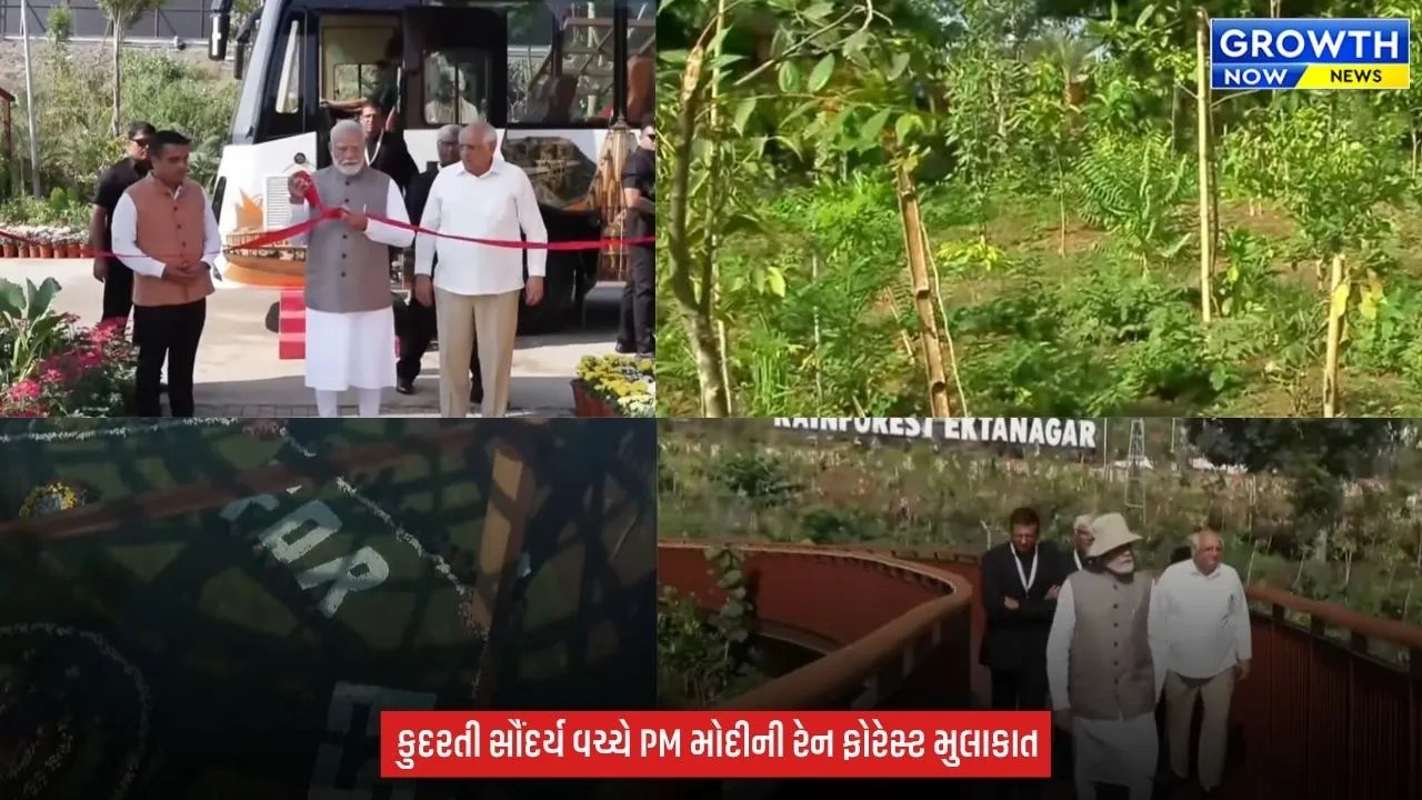 Rain Forest Project : વિસ્ટાડોમ બસમાં બેસી રેન ફોરેસ્ટ પહોંચ્યા PM નરેન્દ્ર મોદી, એકતાનગરના પ્રવાસન આકર્ષણની લીધી મુલાકાત