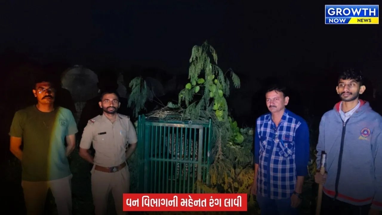 Junagadh નો ઉપરકોટ કિલ્લો 4 દિવસ બાદ ફરી પ્રવાસીઓ માટે ખુલ્લો મૂકાયો, દીપડો પાંજરે પૂરાતા વન વિભાગે લીધો રાહતનો શ્વાસ