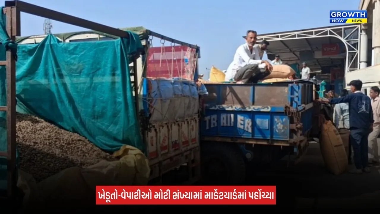 Sabarkantha : હિંમતનગર માર્કેટયાર્ડમાં મગફળીની મબલખ આવક, ખેડૂતોને રૂપિયા 2,070 સુધીના ભાવ મળ્યા