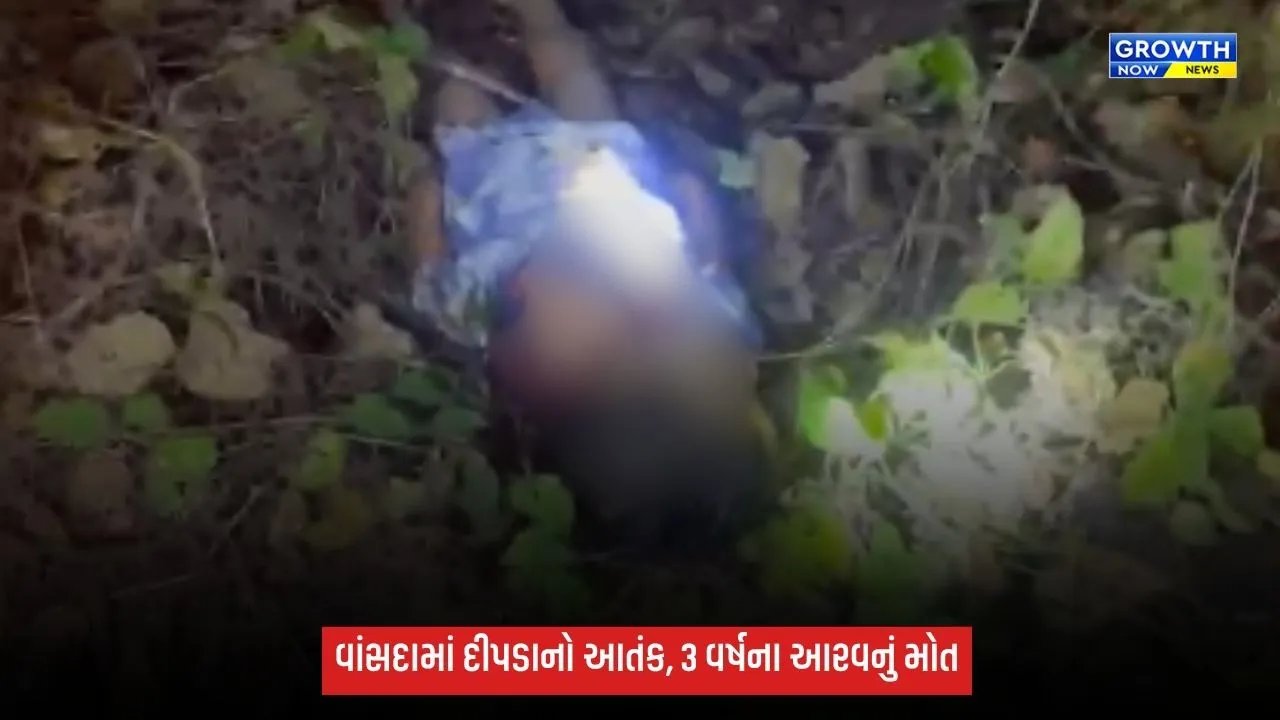 Navsariના વાંસદામાં દીપડાનો આતંક: આંગણામાં રમતા 3 વર્ષના આરવને ઉઠાવી ગયો, જંગલમાંથી મૃતદેહ મળ્યો